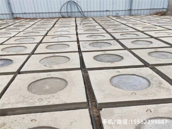 泸水DP16混凝土电杆底盘